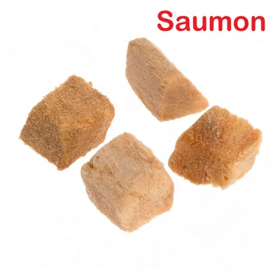 Quatre cubes de friandises pour animaux, texture sèche, couleur saumon, avec le texte « Saumon » en haut à droite.
