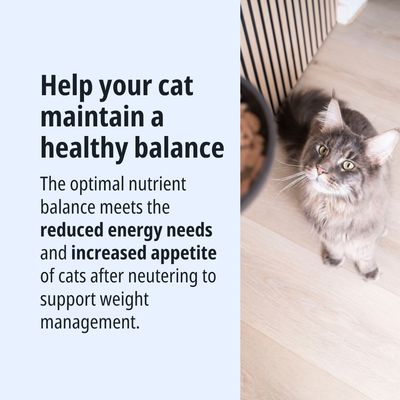 Equilibrio ottimale dei nutrienti per gatti dopo la sterilizzazione: favorisce la gestione del peso grazie al fabbisogno energetico ridotto e all’aumento dell’appetito.