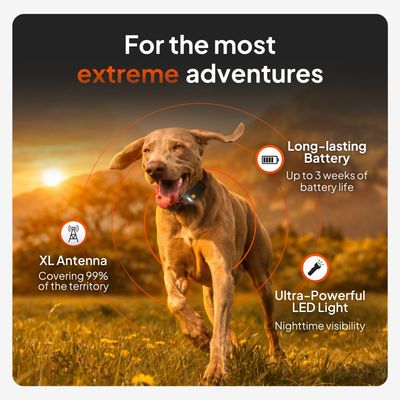 Weenect Pet GPS Tracker XT voor honden - met Halsband