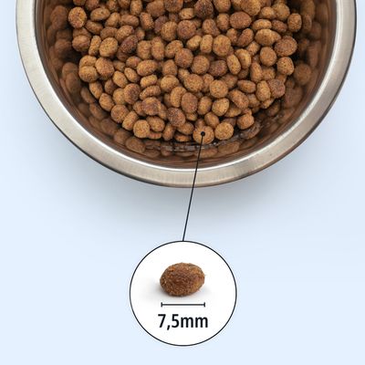 Ciotola con crocchette, una singola crocchetta evidenziata. Diametro della crocchetta: 7,5 mm.