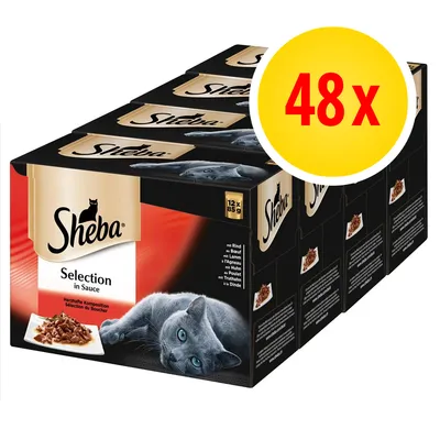 Confezione Sheba Selection in Sauce, 48x85g. Visibile gatto grigio, piatto di bocconcini in salsa, testo: 'Selection in Sauce', vari gusti elencati sul lato.