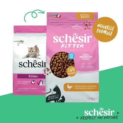 Schesir Kitten & Mother Croquettes, nouvelle formule, 36 % de protéines, avec du poulet frais, EPA+DHA, acide folique pour la croissance, sans additifs, paquet de 1,5 kg