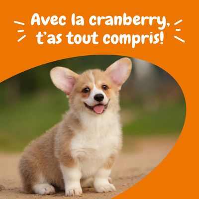 Texte sur l’image : Avec la cranberry, tu as tout compris !