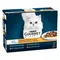 Gourmet Perle Pouches Mixed Pack Saver Pack: Connoisseur's Duo in Gravy (24 x 85g)