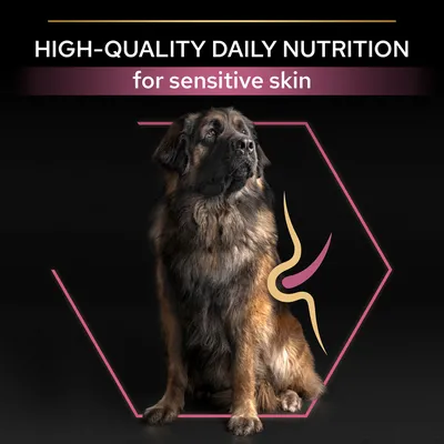 Teksti: HIGH-QUALITY DAILY NUTRITION for sensitive skin. Kuvassa iso koira mustalla taustalla, vaaleanpunainen ja keltainen graafinen kuvio koiran kyljessä.