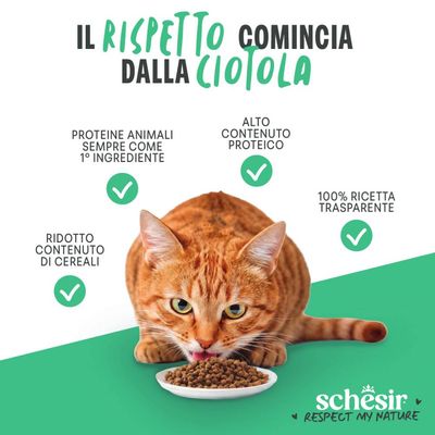 Schesir: Proteine di origine animale come ingrediente principale, alto contenuto proteico, ridotto apporto di cereali, ricetta 100% trasparente. Il gatto mangia crocchette.
