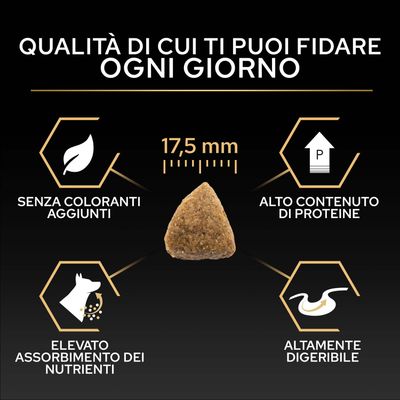 Dimensione delle crocchette 17,5 mm, senza coloranti, alto contenuto proteico, elevato assorbimento dei nutrienti, facilmente digeribile. Testo: Qualità di cui puoi fidarti ogni giorno.