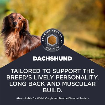 Dachshund. Vyvinuté na podporu temperamentnej povahy, dlhého chrbta a svalnatej stavby tela. Vhodné aj pre Welsh Corgis a Dandie Dinmont teriérov.