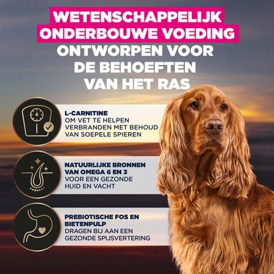 L-carnitine voor vetverbranding, omega 6 en 3 voor een gezonde huid en vacht, prebiotische FOS en bietenpulp voor de spijsvertering. Wetenschappelijk ontwikkeld voer.
