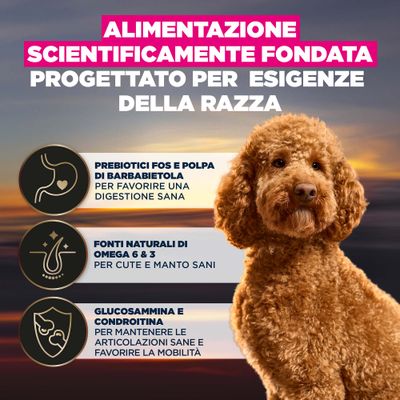 Alimentazione scientificamente studiata, sviluppata per le esigenze specifiche della razza. Con prebiotici e polpa di barbabietola, omega 6 & 3, glucosammina e condroitina secondo la descrizione dell'immagine.