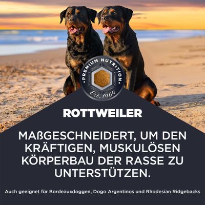 Rottweiler. Maßgeschneidert, um den kräftigen, muskulösen Körperbau der Rasse zu unterstützen. Auch geeignet für Bordeauxdoggen, Dogo Argentinos und Rhodesian Ridgebacks.