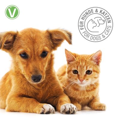 Grünes V-Symbol für vegan, Siegel mit Text 'Für Hunde & Katzen, For Dogs & Cats', Hund und Katze nebeneinander abgebildet.