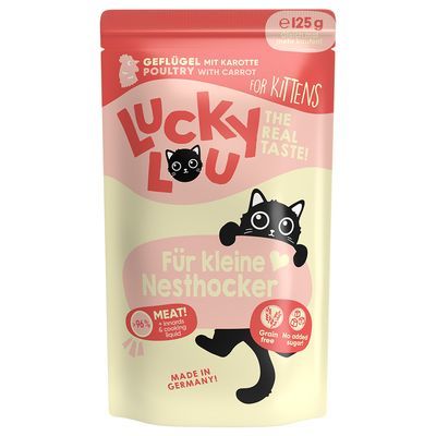 Lucky Lou Kitten
