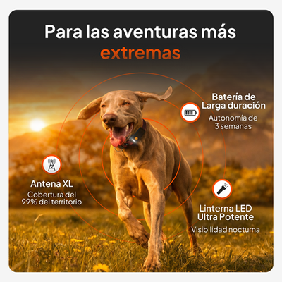 Batería con 3 semanas de duración, antena XL con un 99% de cobertura, linterna LED ultrabrillante para visión nocturna. Para aventuras extremas.