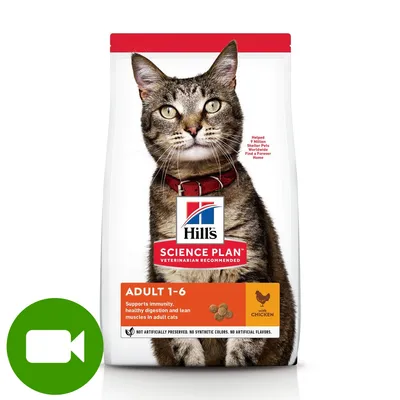 Hill's Science Plan Adult 1-6 with Chicken, karma dla kotów dorosłych. Widoczny kot, logo Hill's, tekst: Supports immunity, healthy digestion and lean muscles in adult cats.