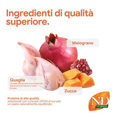 Componenti: melagrana, quaglia proveniente da allevamenti europei affidabili, zucca. Proteine di alta qualità, accuratamente selezionate per un pasto naturalmente equilibrato.