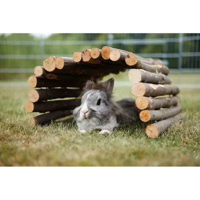 Kleintier-Holztunnel aus Naturholz, geeignet als Versteck oder Spielplatz für Tiere. Gezeigt mit einem Kaninchen auf einer Wiese. Kleintier-Holztunnel aus Naturholz, geeignet als Versteck oder Spielplatz für Tiere. Gezeigt mit einem Kaninchen auf einer Wiese.