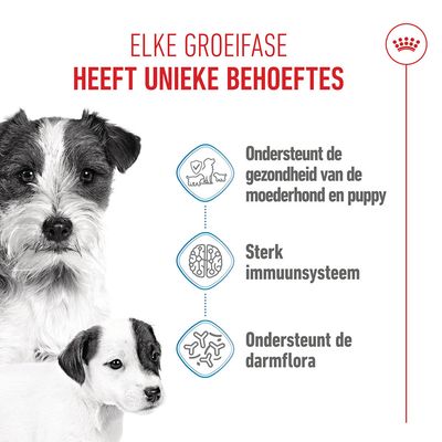 Royal Canin Mini Starter Mother & Babydog Hondenvoer