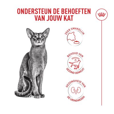 Ondersteunt de behoeften van uw kat: zeer smakelijk, behoud van een gezond gewicht, gezondheid van de urinewegen. Afbeelding van een kat.