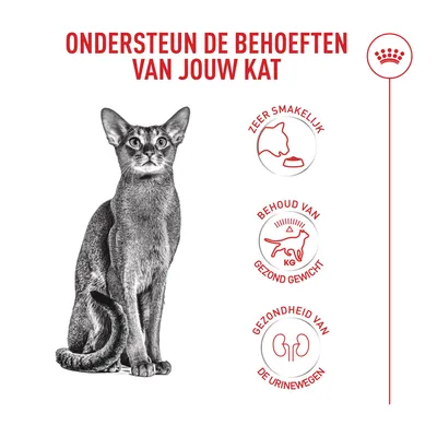 Ondersteunt de behoeften van uw kat: zeer smakelijk, behoud van een gezond gewicht, gezondheid van de urinewegen. Afbeelding van een kat.