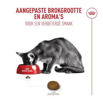 Kat eet uit Royal Canin voerbak. Tekst: Aangepaste brokgrootte en aroma’s voor verbeterde smaak. Brokgrootte met schaal, 1 cm zichtbaar.