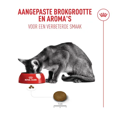 Kat eet uit Royal Canin voerbak. Tekst: Aangepaste brokgrootte en aroma’s voor verbeterde smaak. Brokgrootte met schaal, 1 cm zichtbaar.