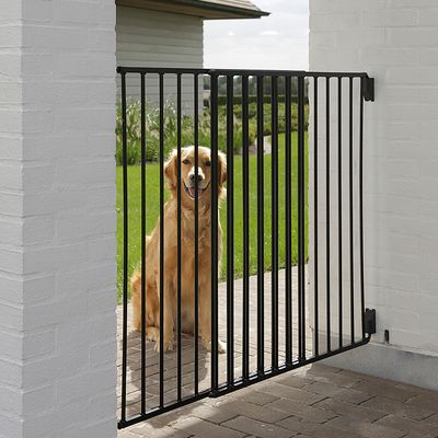 Poartă de siguranță din metal negru montată între doi pereți albi, cu un câine auriu vizibil în spatele grilajului.