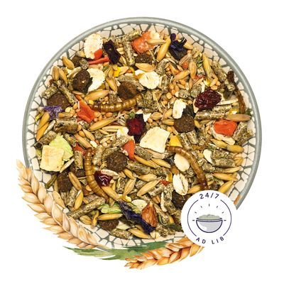 Schaal met gemengd knaagdierenvoer, zichtbaar: gedroogde meelwormen, granen, groenten, pellets en stukjes fruit. Pictogram met tekst '24/7 ad lib' naast de schaal.