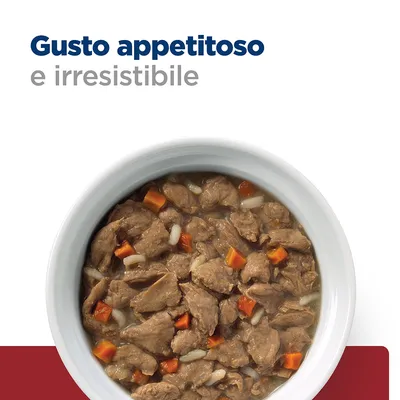 Gusto appetitoso e irresistibile. Ciotola con bocconcini di carne, carote e riso in salsa.