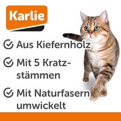 Kratzbaum aus Holz mit fünf Sisal-Säulen, Spielzeugball und Federn. Ideal für Krallenpflege und Spiel.