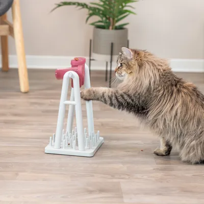 Gato interactuando con un soporte de juguete blanco y mecanismo giratorio rosa, adecuado para juegos de entretenimiento o recompensa.