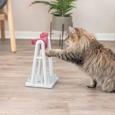 Kat bij interactief speeltuig van wit plastic met roze elementen en pinnen op de bodem, geschikt voor mentale stimulatie. Kat gebruikt poot om aan het speeltuig te bewegen.
