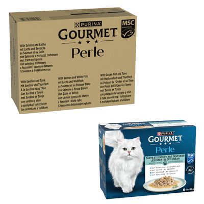 Weisse Katze frisst Nassfutter von einem Teller. Fokus auf Futter und Essenssituation.