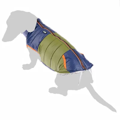 Hundemantel in Blau und Grün mit orangefarbenen Akzenten, Reissverschluss oben und Logo-Aufdruck. Geeignet für kalte Wetterbedingungen.