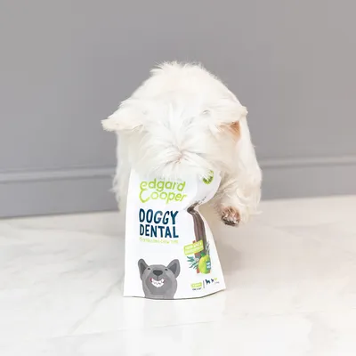 Edgard Cooper Doggy Dental, extra lange kauwtijd, smaak: knapperige appel & eucalyptus. Verpakking met hondengrafiek zichtbaar.