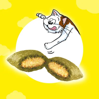 Dreamies Mega Tub - 2 x 350 g kana