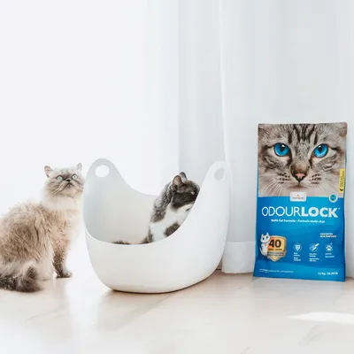 OdourLock Multi-Cat Formula kissanhiekka, 12 kg, hajunpoisto jopa 40 päivää. Pakkaus kahden kissan ja valkoisen kissanvessan vieressä.