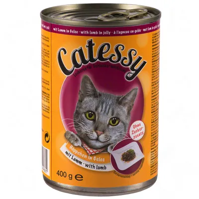 Catessy våtfoder för katt, 400 g burk, mit Lamm in Gelee, bild på grå katt och serveringsförslag. Text: Ohne Zuckerzusatz, with lamb, Häppchen in Gelee.