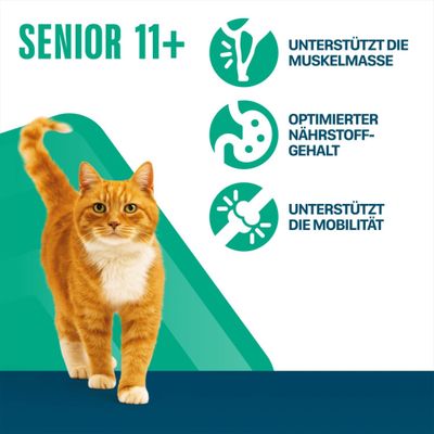 Senior 11+, unterstützt die Muskelmasse, optimierter Nährstoffgehalt, unterstützt die Mobilität.