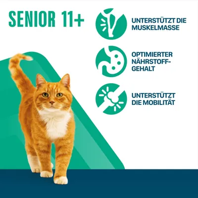 Senior 11+, támogatja az izomtömeget, optimalizált tápanyagtartalom, segíti a mozgékonyságot. Senior 11+, támogatja az izomtömeget, optimalizált tápanyagtartalom, segíti a mozgékonyságot.