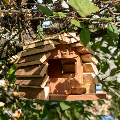 Holzhaus mit der Aufschrift 'Squirrel Cafe', montiert an einem Baum, mit Eicheln auf der Ablage.