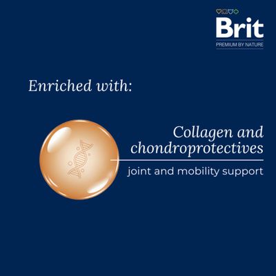 Brit Premium by Nature Senior L+XL, High in Chicken 45%, GMO Free, Soja Free, für große und sehr große Rassen 25-90 kg. Verpackung mit Hähnchenstücken und Kräutern abgebildet.