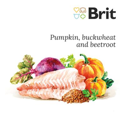 Brit Fresh Fish with Pumpkin kutyatáp csomagolás, látható feliratok: Muscles & Joints, Fresh Fish with Pumpkin, SUPREMIUM FORMULA FOR LARGE BREED ADULT DOGS, zöldség és hal illusztrációval.