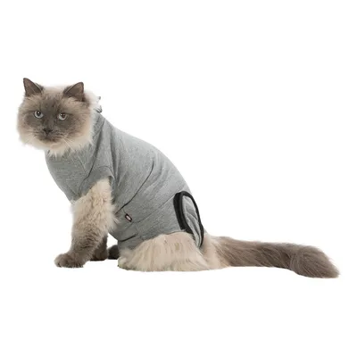Katze trägt einen grauen Schutzanzug mit Klettverschluss, geeignet für postoperative Pflege oder Hautschutz.