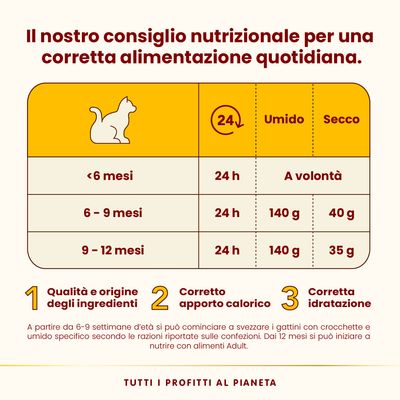 Almo Nature HFC Complete Kitten 6 x 70 g Alimenti umido per gatti - Salmone con Tonno