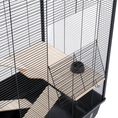 Cage en métal avec étages et rampes en bois clair, gamelle noire posée sur une plateforme. Fond de cage en plastique noir visible.
