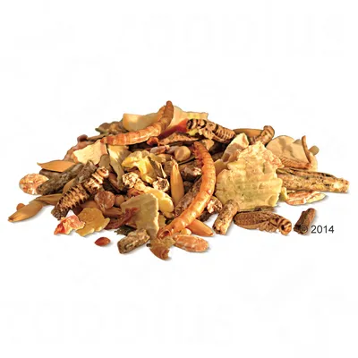 Mix of dried insects, mealworms, and plant pieces on a white background. No visible brand or text.