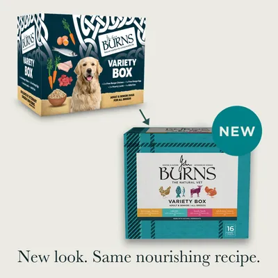 Burns Wet Food for Dogs 16 x 395g - Variety Box