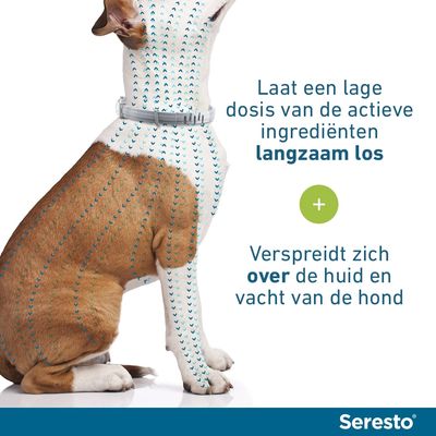Seresto Vlooien- en tekenhalsband voor Grote honden (> 8 kg)