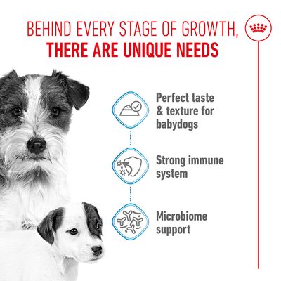 Behind every stage of growth, there are unique needs. Perfect taste & texture for puppies, strong immune system, microbiome support.